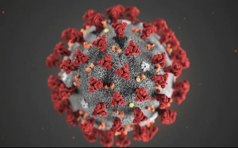 coronavirus